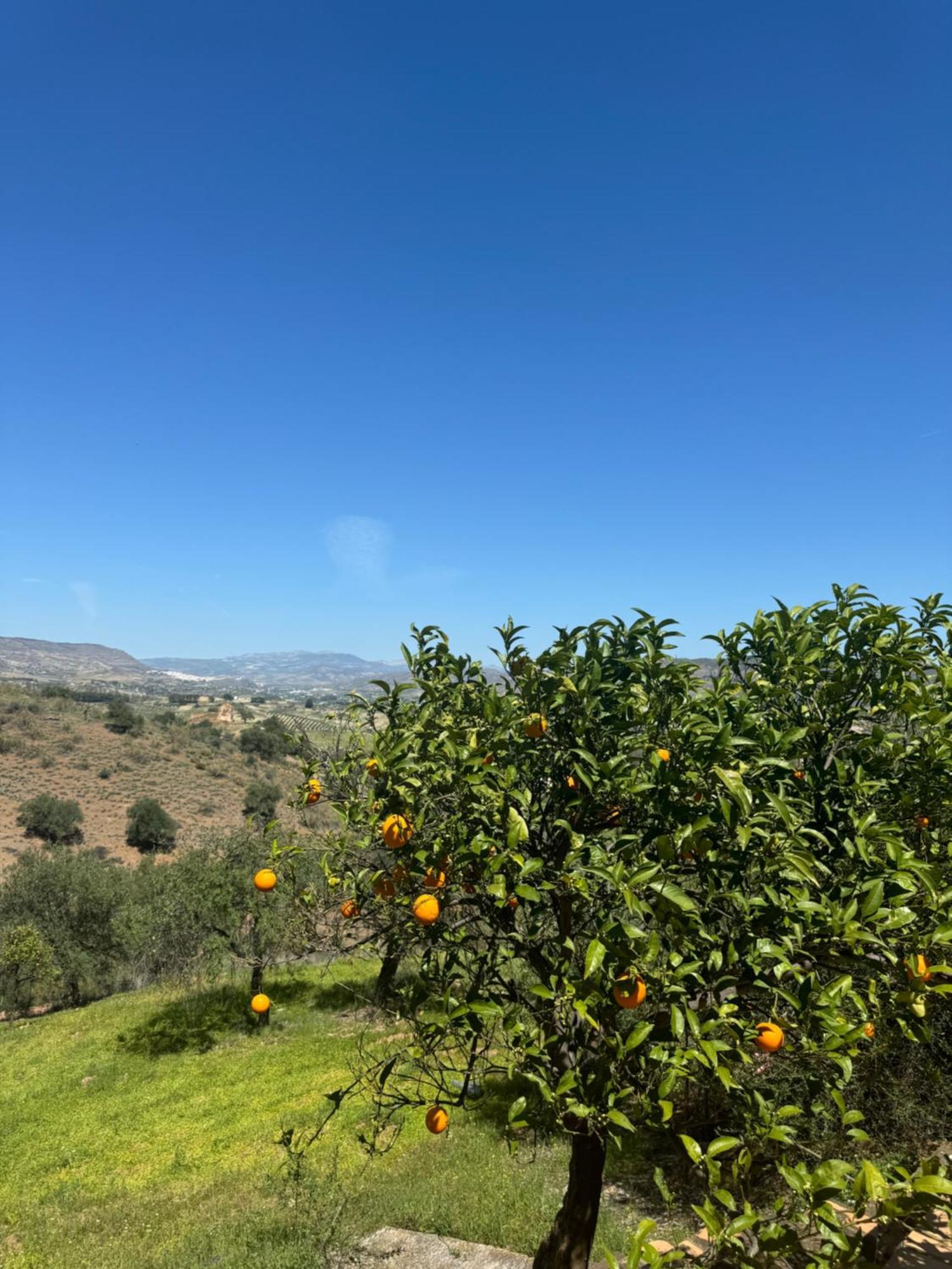 Santa Teresa Bed & Breakfast Andalusien Pizarra Buitenkant foto
