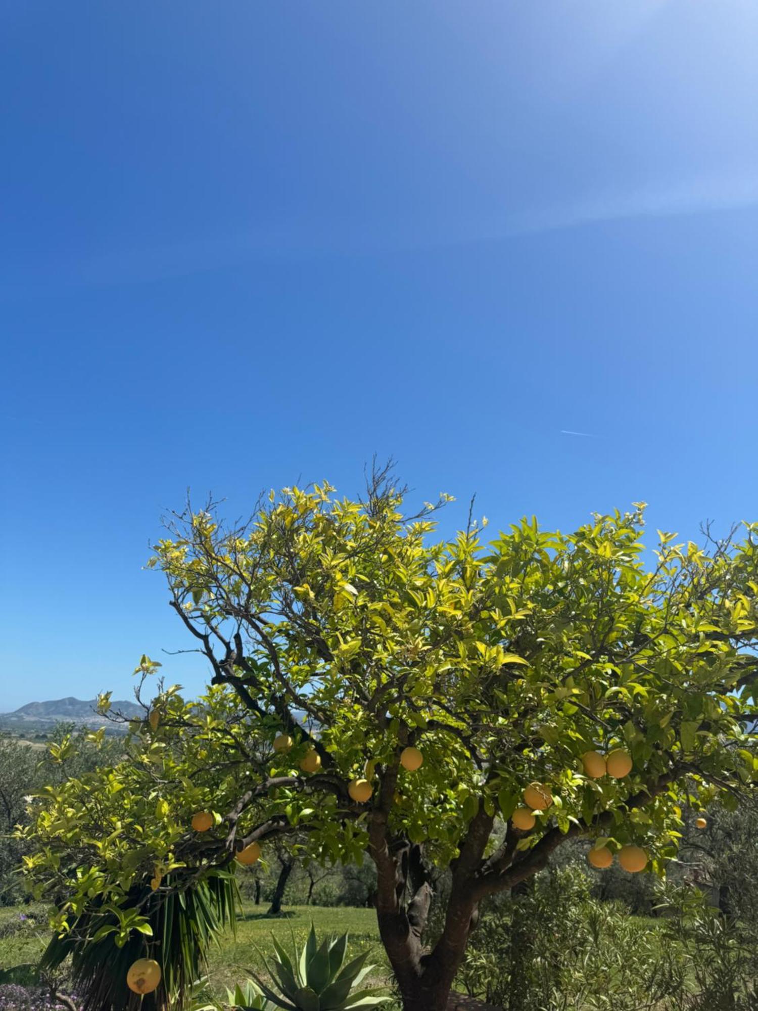 Santa Teresa Bed & Breakfast Andalusien Pizarra Buitenkant foto