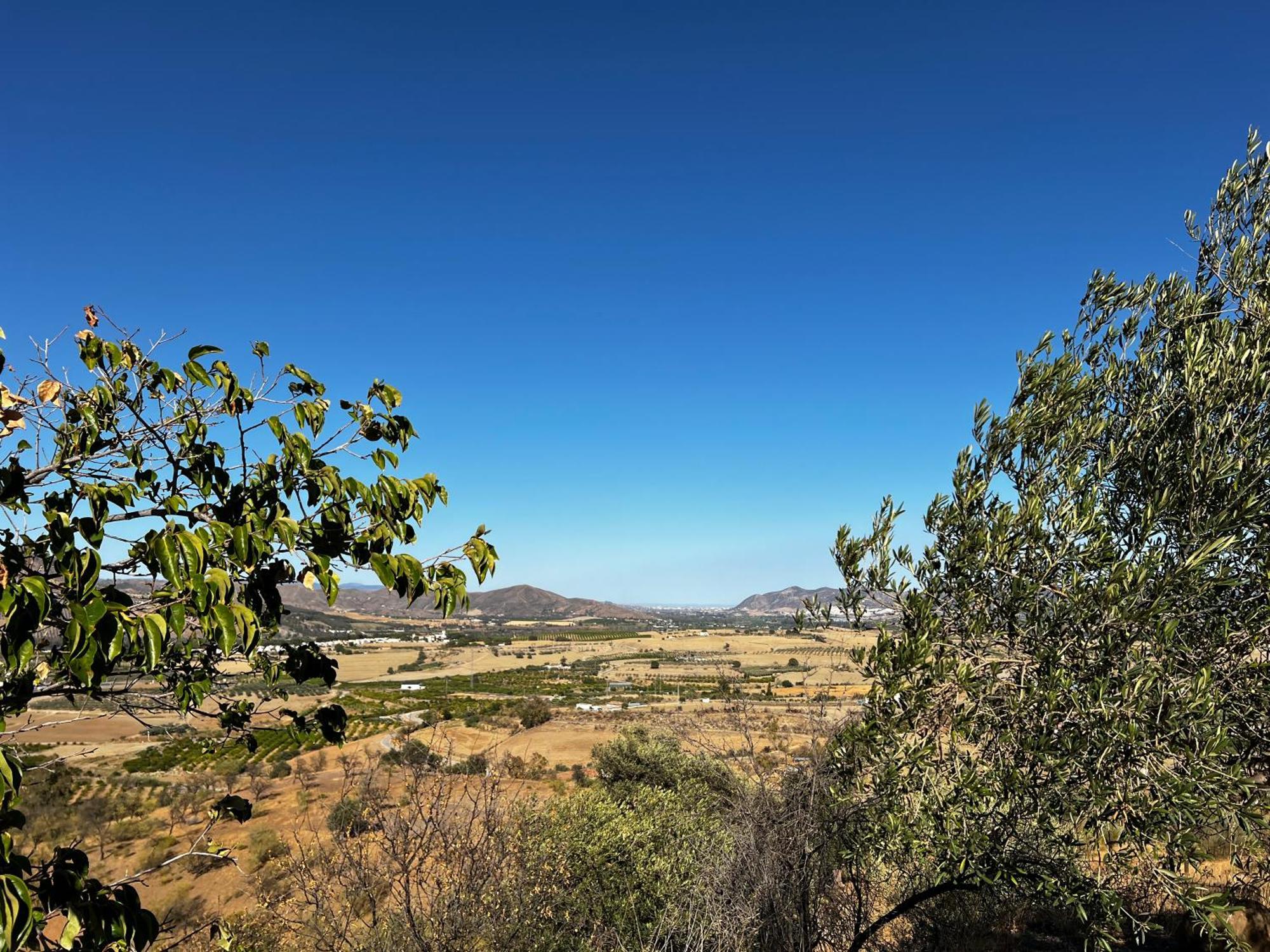 Santa Teresa Bed & Breakfast Andalusien Pizarra Buitenkant foto