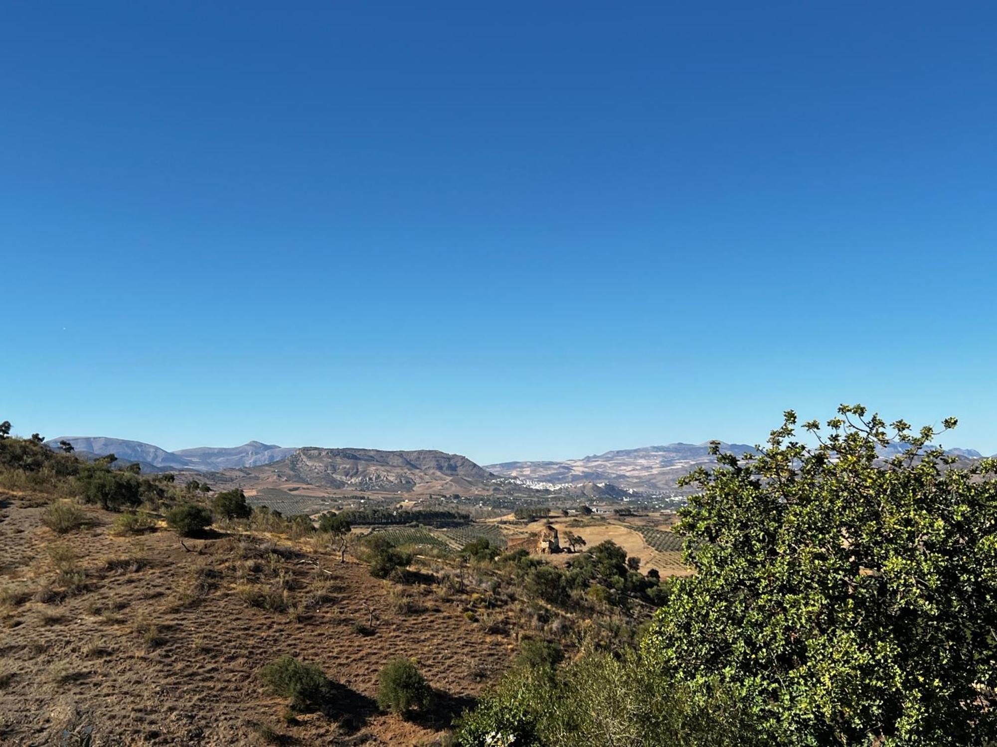 Santa Teresa Bed & Breakfast Andalusien Pizarra Buitenkant foto